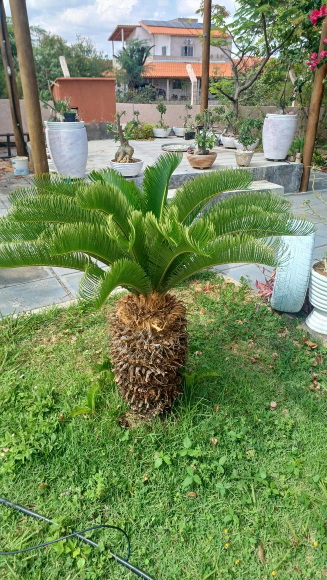 Anexo Da Casa De Campo - 2/4 Com Piscina Petrolina Bagian luar foto